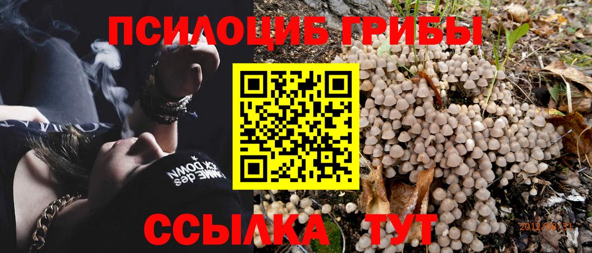 Галлюциногенные грибы Magic Shrooms Бердск